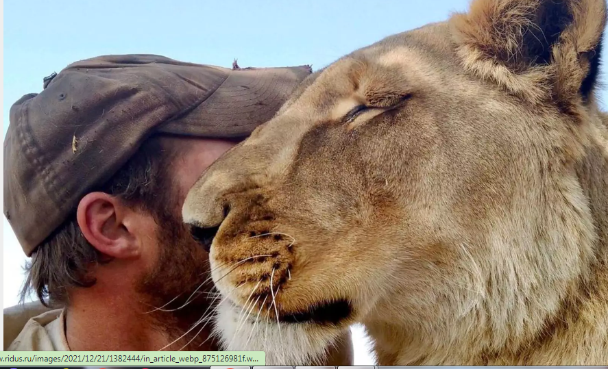 Фото: соцсети 