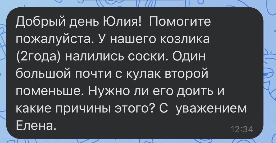 Фото автора канала