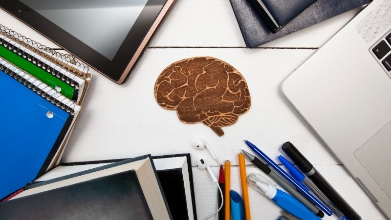 @olezhkalina / freepik.com