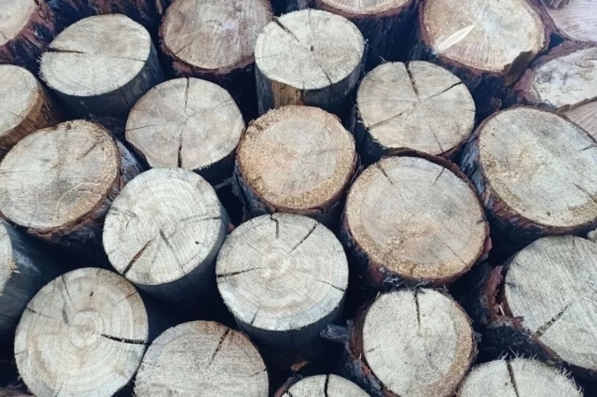   Контрабанду леса на более, чем на 10 млн рублей выявили в Иркутской области