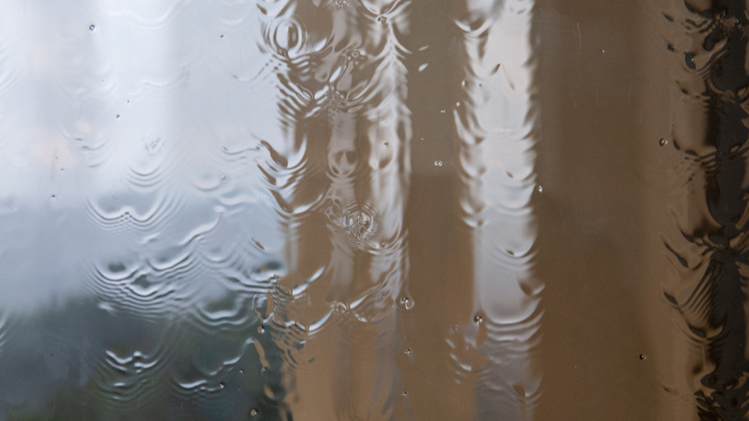    Фото: Svetlana Vozmilova/Globallookpress