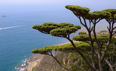 Изображение создано с помощью нейросети