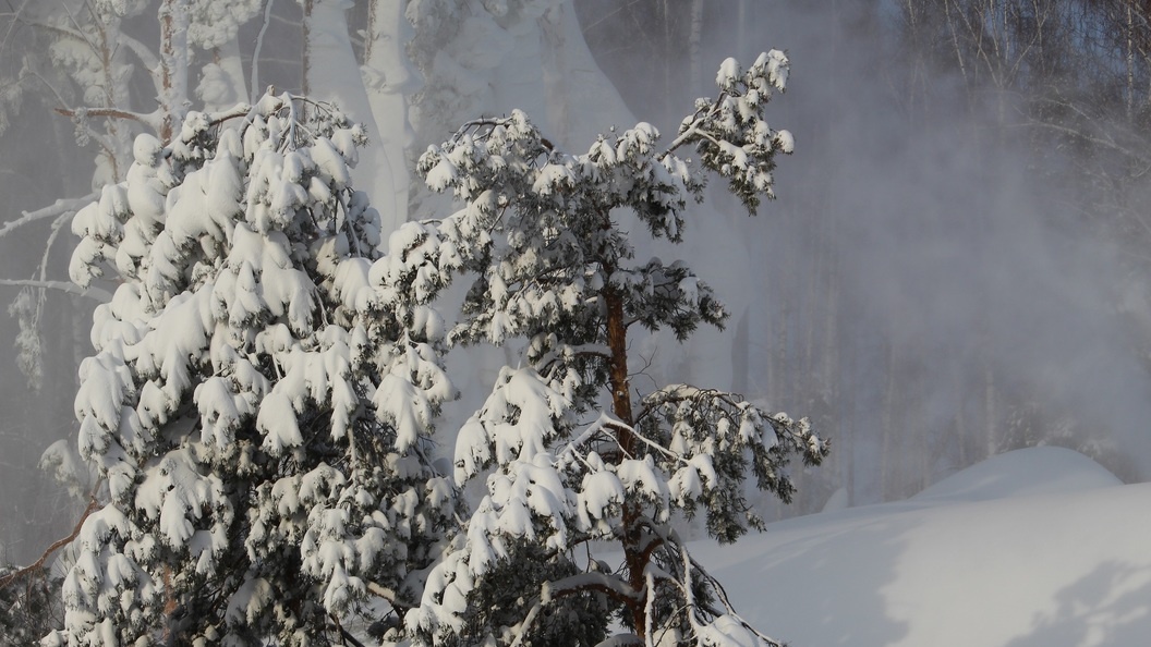    Фото: Царьград/Ростов-на-Дону