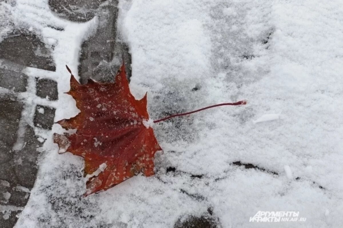   Потепление до +7 градусов придет в Нижний Новгород к концу недели