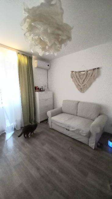 Найди кота 😽