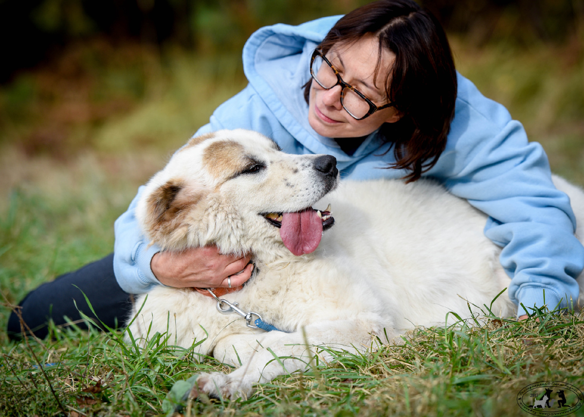 Самая обнимательная и теплая собака. Она и подушка и мягкий плед