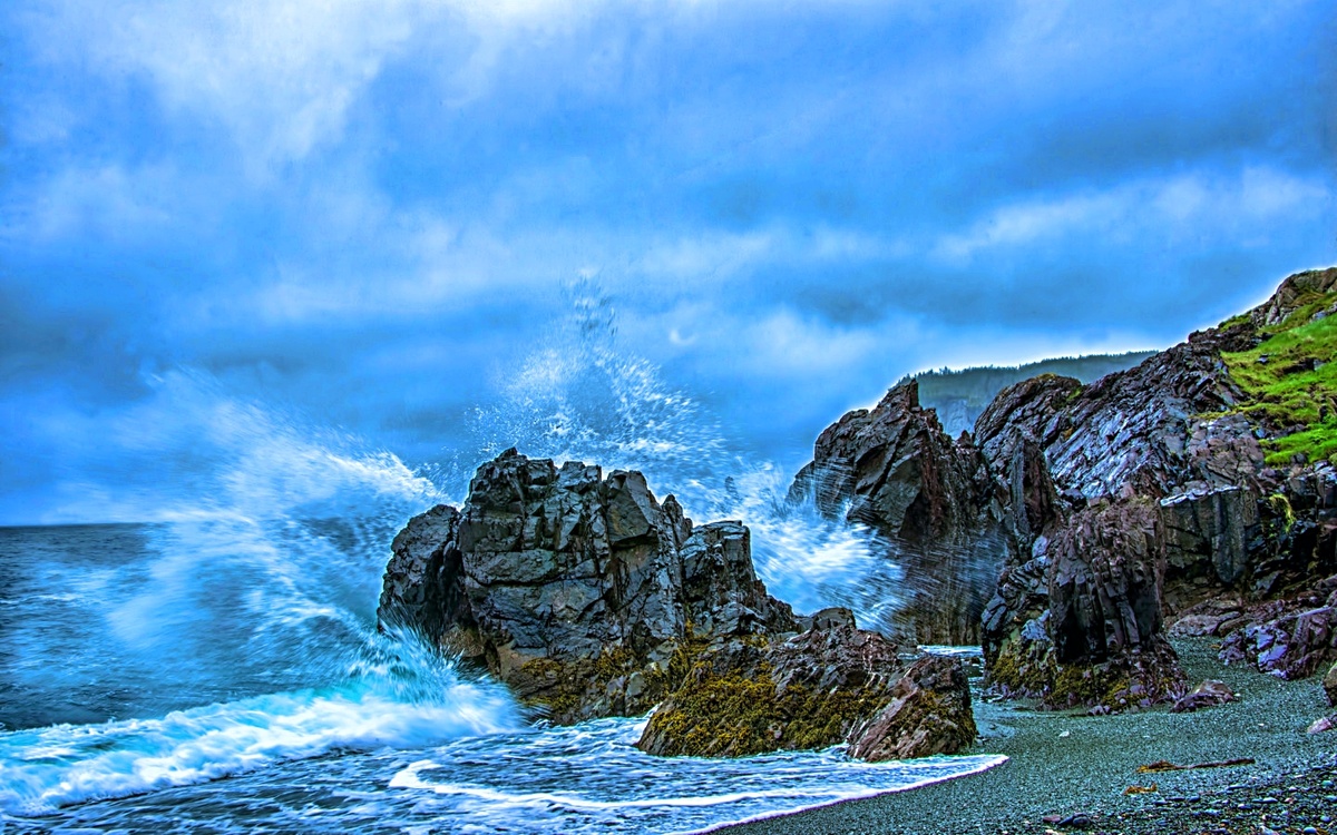 Фото взять из интернета.