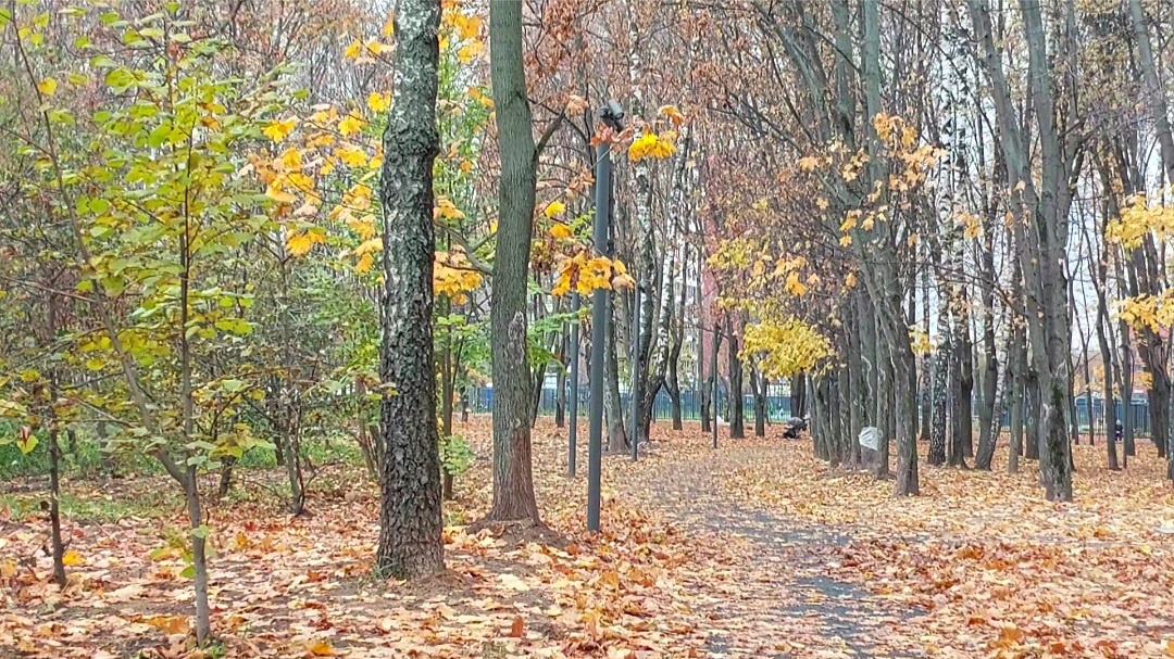 фото автора. 