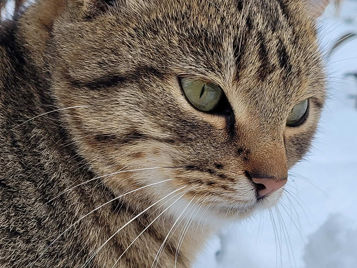 А нас завалило снегом. Кто виноват?)) 