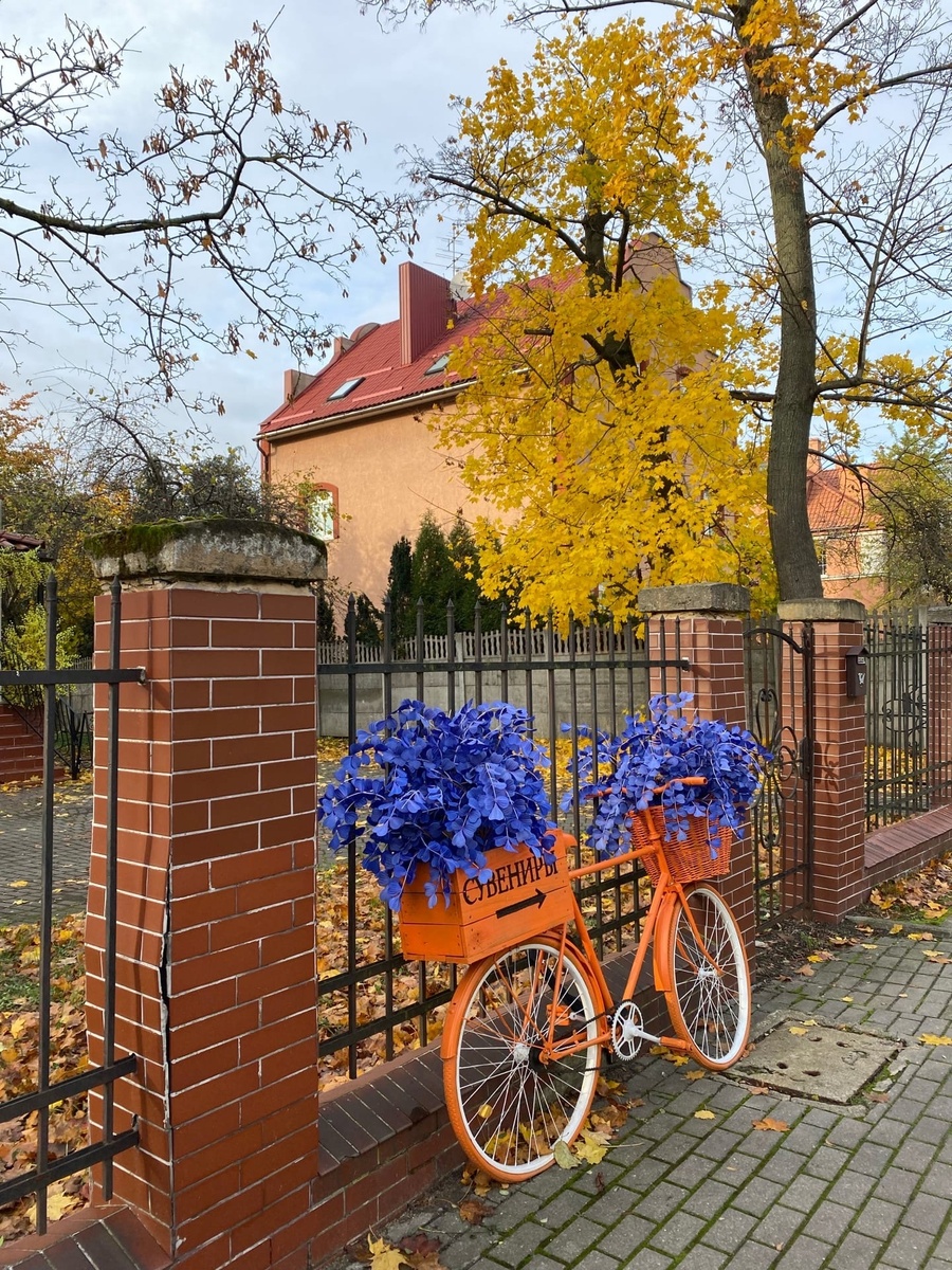 Чтобы сделать жизнь более яркой и насыщенной, достаточно научиться замечать прекрасное вокруг. 