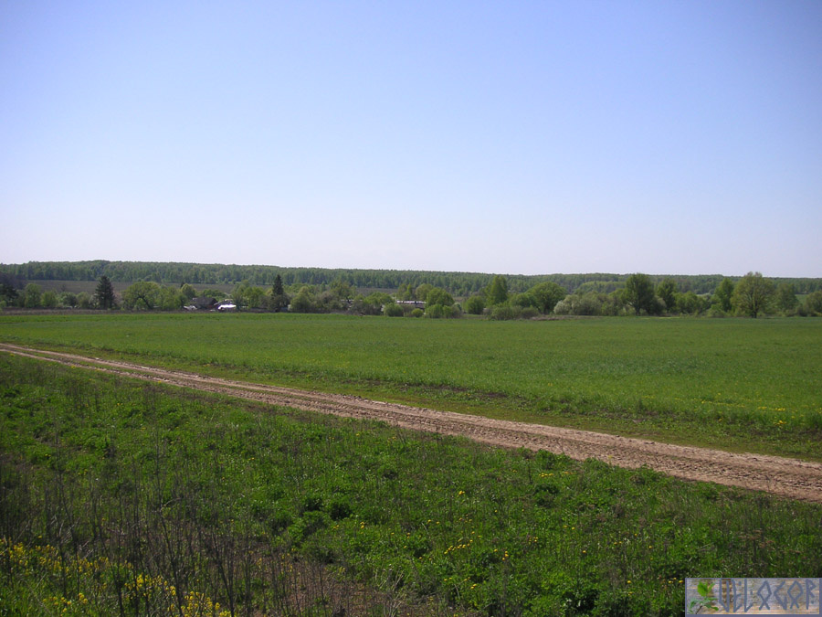 Деревня Переделки