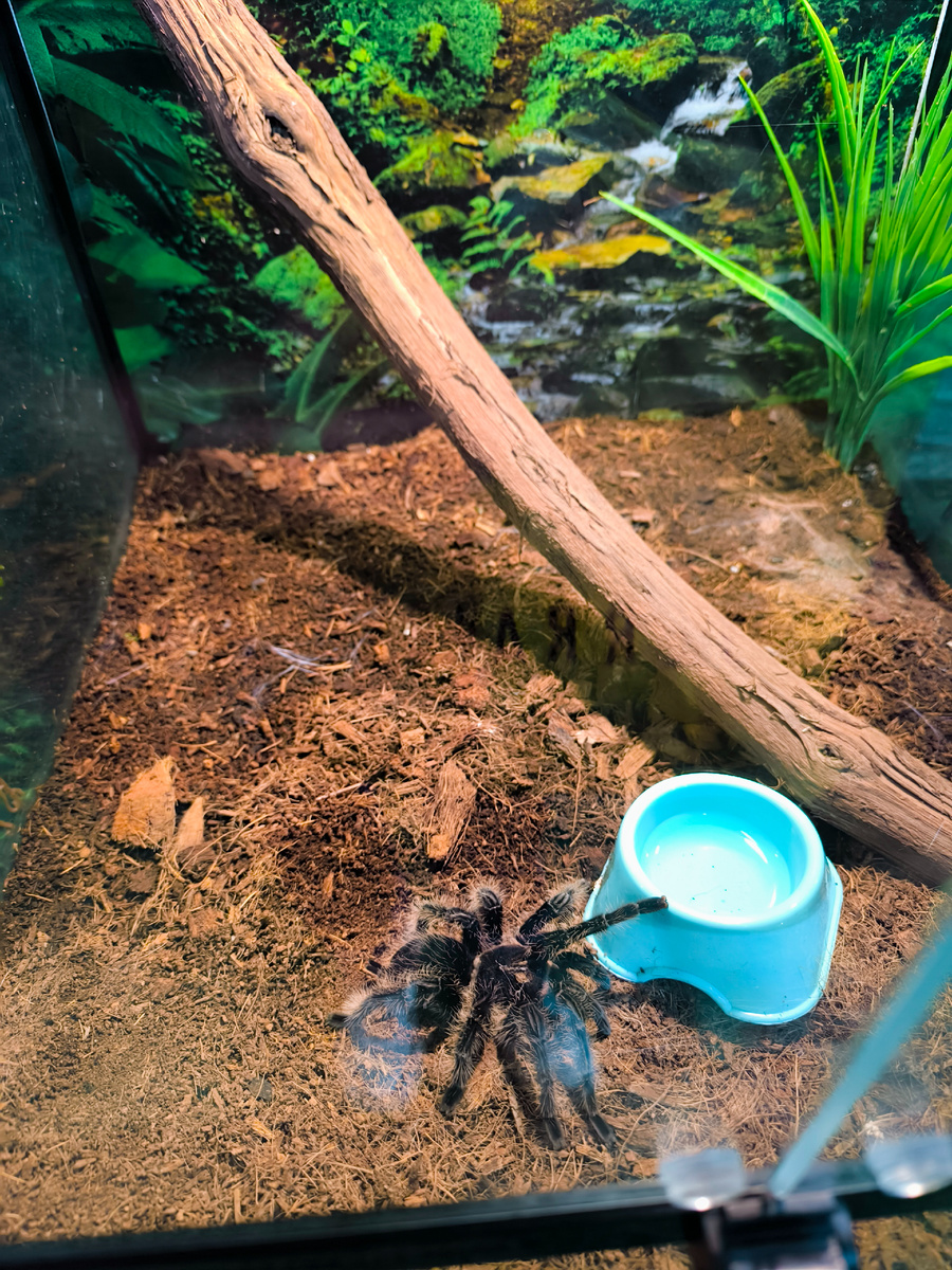 Здесь и далее фото автора канала. 