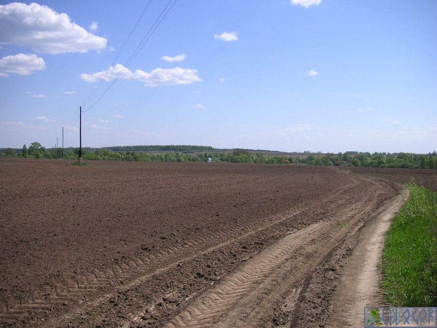 Поля... окраины Зудны