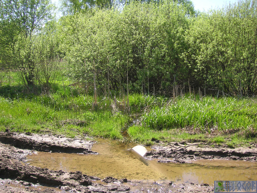 Ручей в Марухте