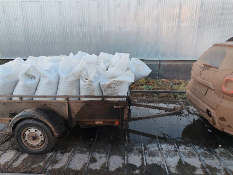    Двое жителей Шарлыкского района украли более 2,5 тонны семян подсолнечника Оренбуржье