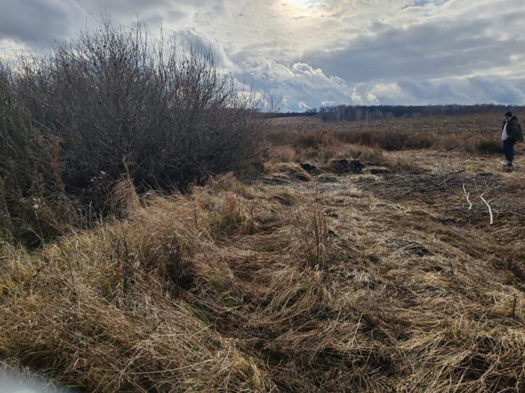     Двое жителей Шарлыкского района украли более 2,5 тонны семян подсолнечника Оренбуржье
📷    Двое жителей Шарлыкского района украли более 2,5 тонны семян подсолнечника Оренбуржье
