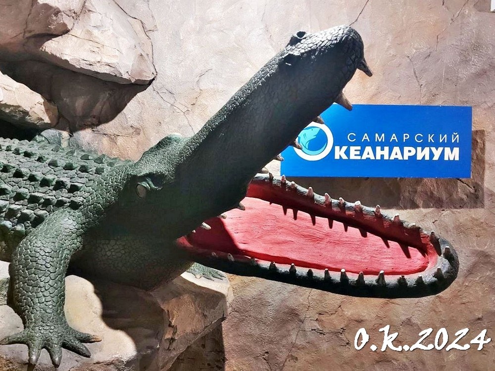 Аквариумы, вольеры и террариумы Самарского океанариума занимают 2,5 тысячи кв. м 