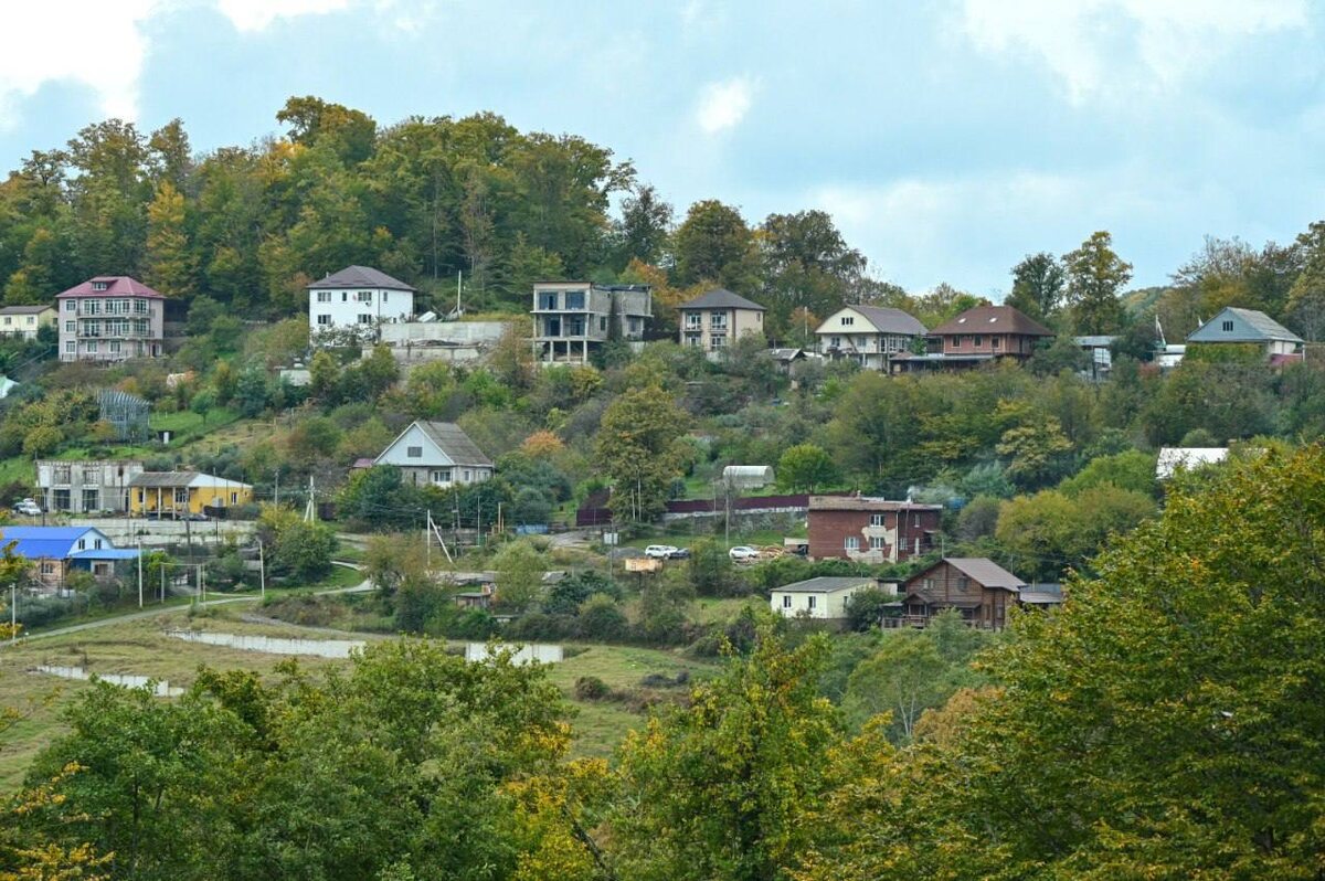   Фото: тг-канал мэра Сочи Андрея Прошунина