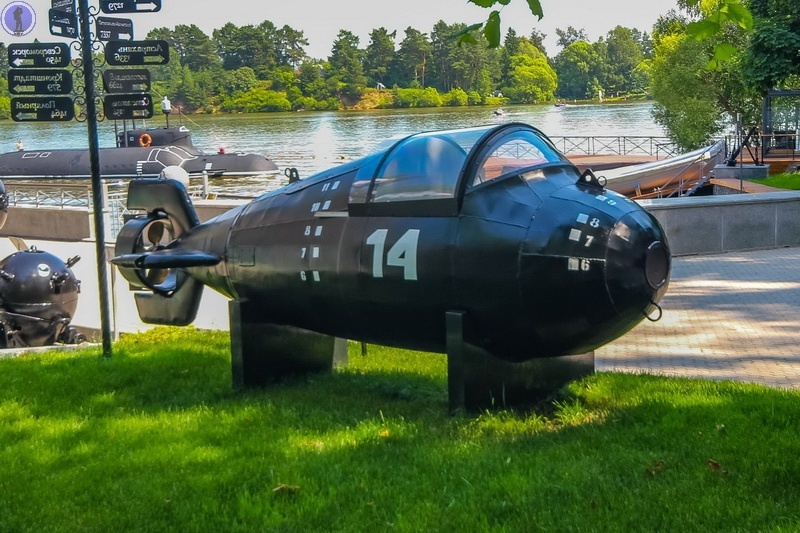 -61