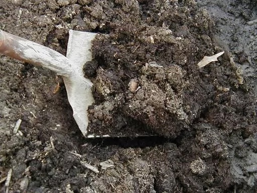 Фото: apk-volga.ru