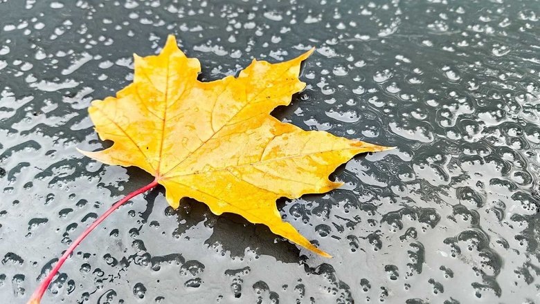 Источник: Московский комсомолец