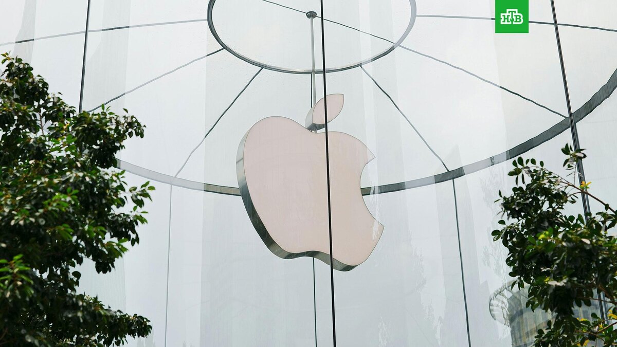    Фото: Declan Sun / unsplash.com