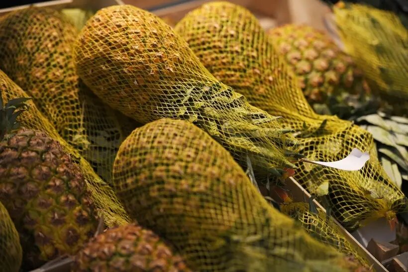     © РИА Новости. Светлана Шевченко