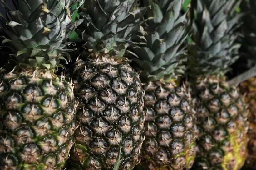  В России же ананасы традиционно появляются в продаже в преддверии Нового года   © РИА Новости. Мария Девахина