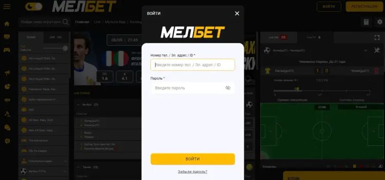    Окно с авторизацией