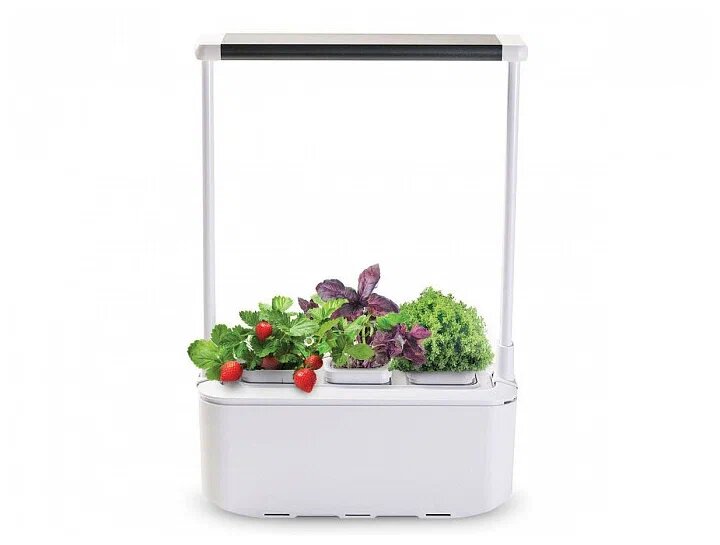 Компактный умный сад iGarden PRO LED с подсветкой