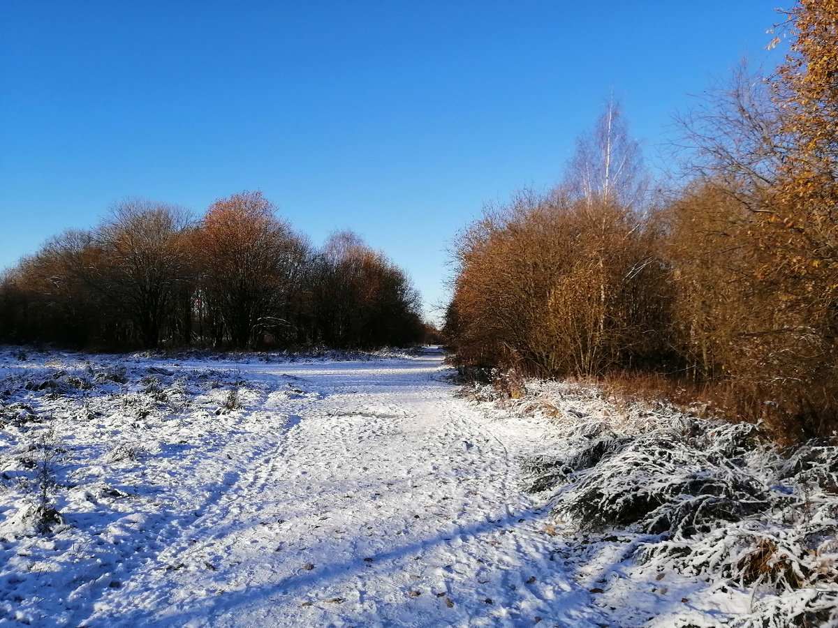 Фото автора канала от 04.11.2024