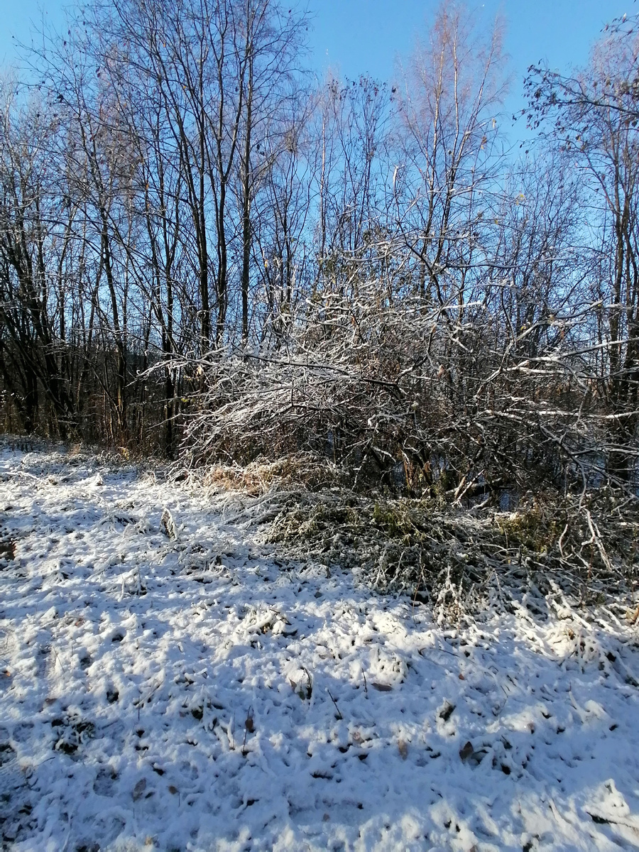 Фото автора канала от 04.11.2024