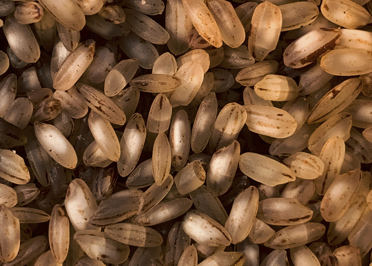 Фото / Second Breakfast / unsplash.com