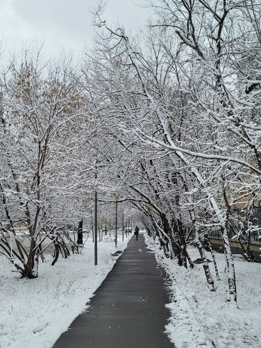 По правую руку - метродепо. Прямо за окнами стоят поезда.
