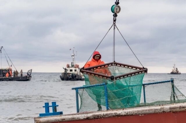    Многие будут вынуждены отказаться от рыболовных участков. Фото:  АиФ/Вадим Митюра