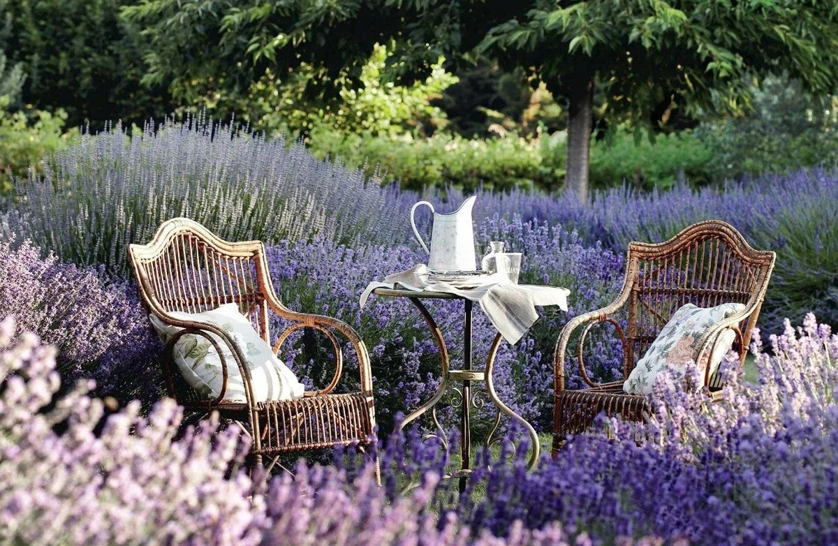 Ландшафтный дизайн в стиле прованс