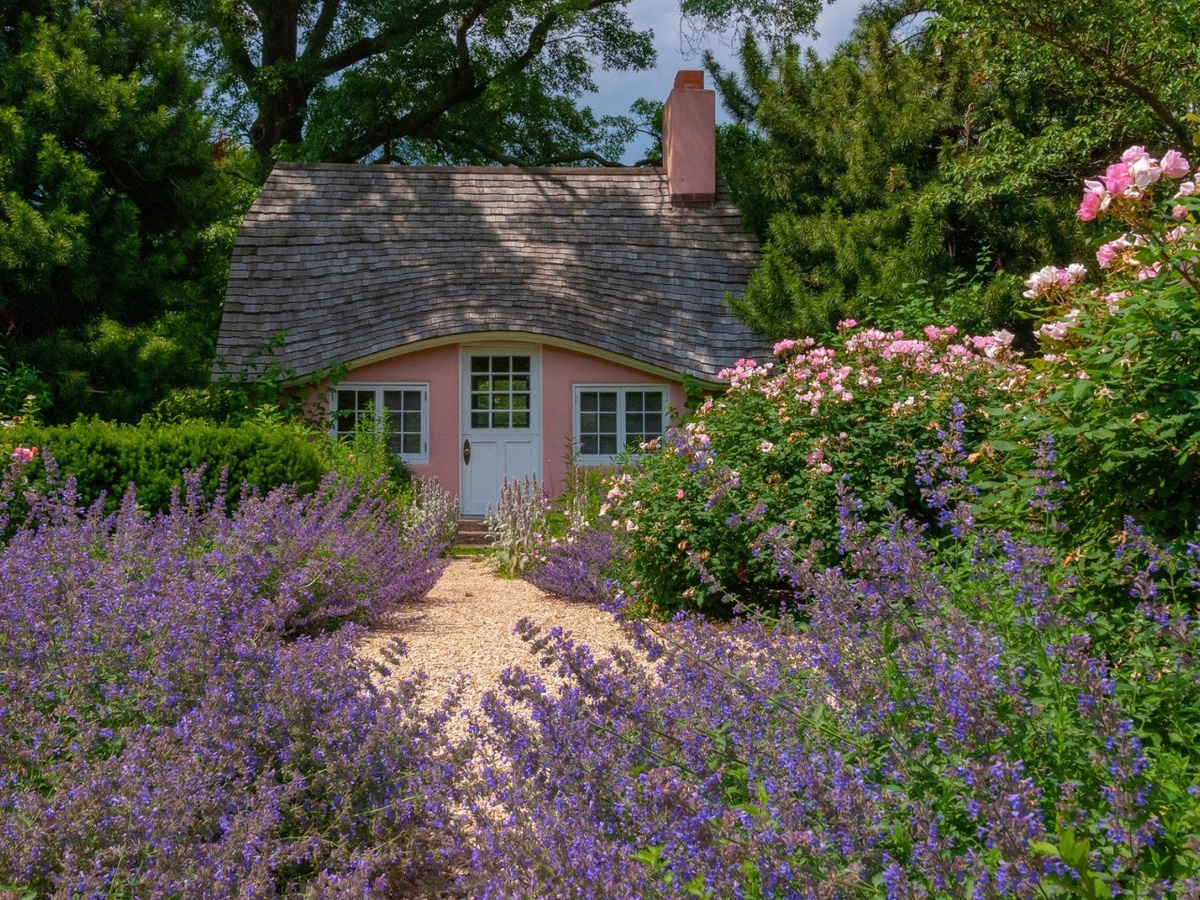 Прованс в ландшафтном дизайне