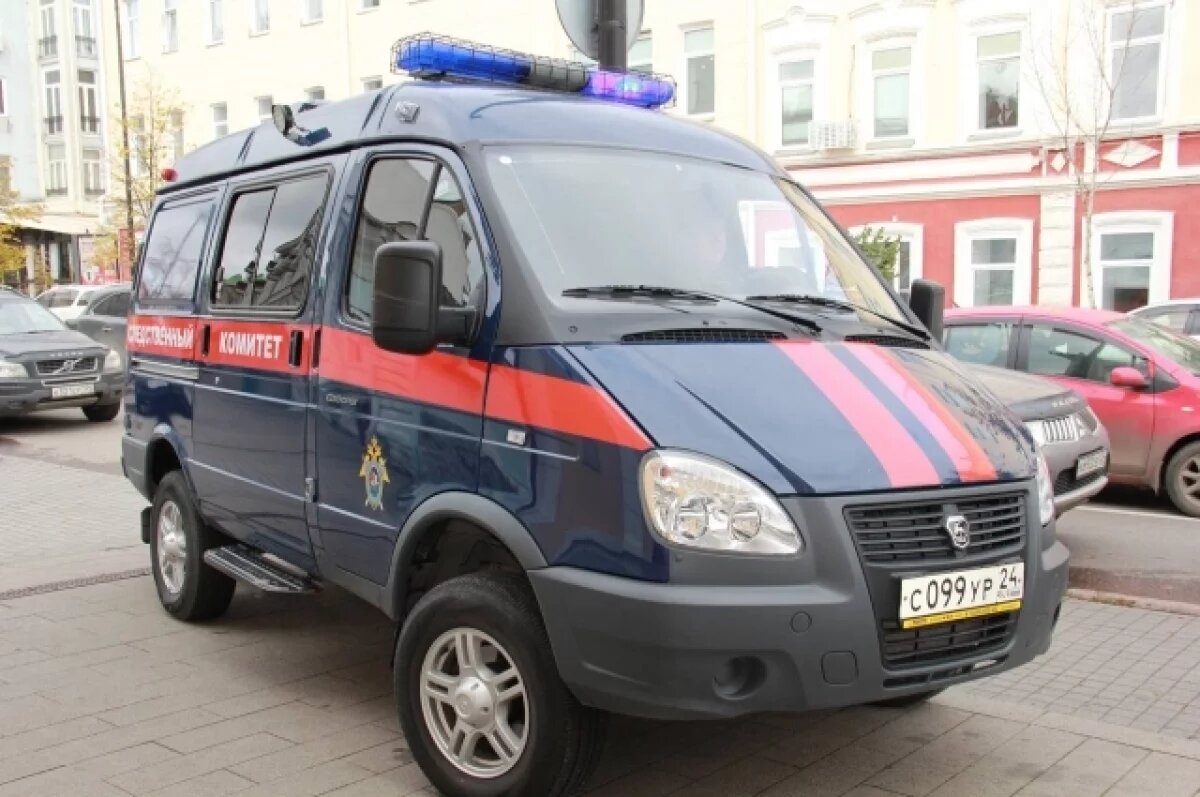    В Красноярском крае задержали мужчину, задушившего сожительницу