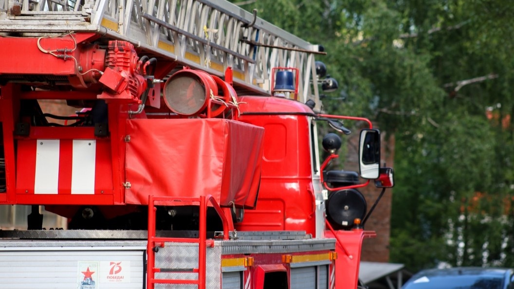    Elena Mayorova/Global Look Press