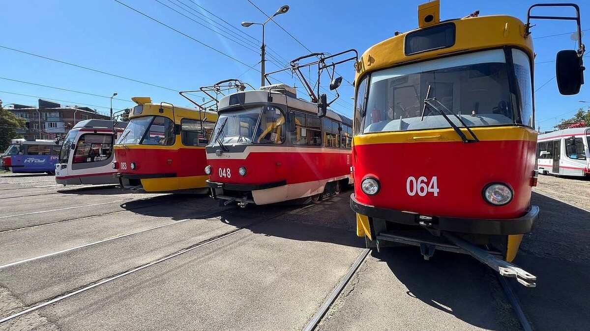    Фото: телеканал «Краснодар»