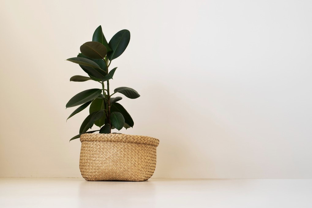 Фото: stroylandiya.ru