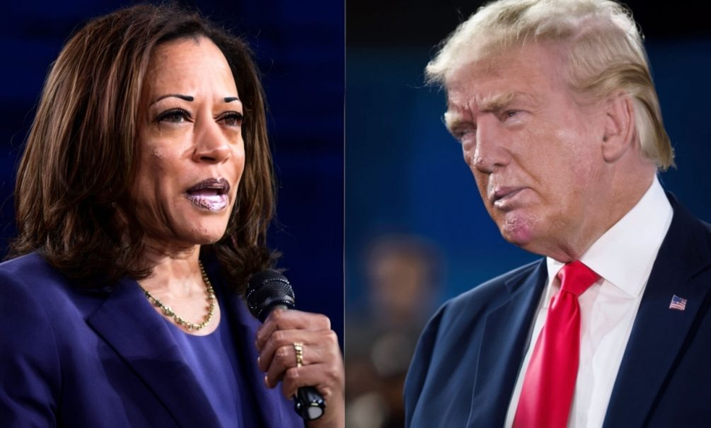   Иллюстрация: "Блокнот".