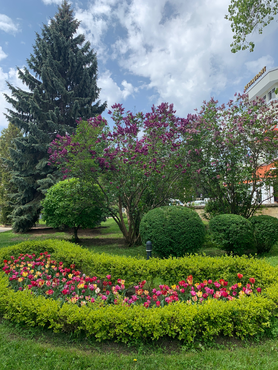 1.Май в Кисловодске, фото Сад в стиле Paradise ®