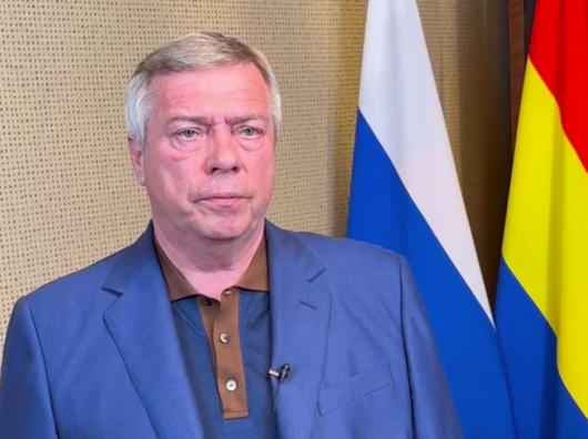    Василий Голубев // Фото: скриншот видеоролика, опубликованного в telegram-канале губернатора Ростовской области