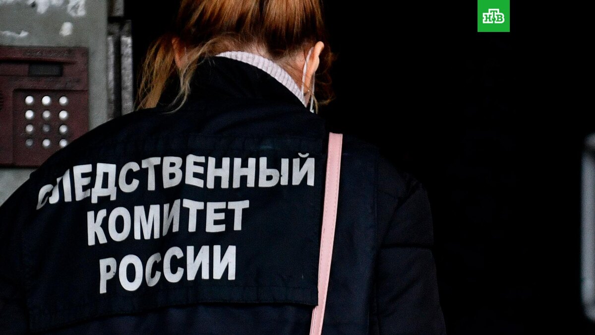    Фото: РИА Новости © 2024, Павел Лисицын