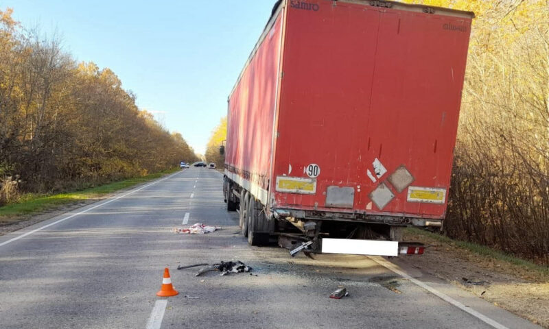    Фото t.me/ugibddra