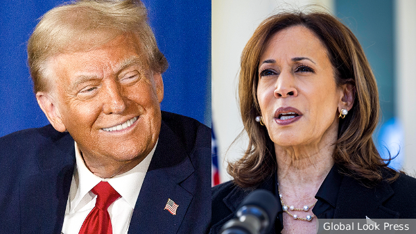     Фото: Global Look Press   
 Текст: Анастасия Куликова