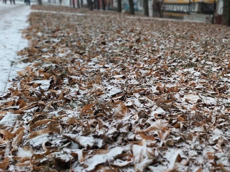     Фото: Сергей Мосев