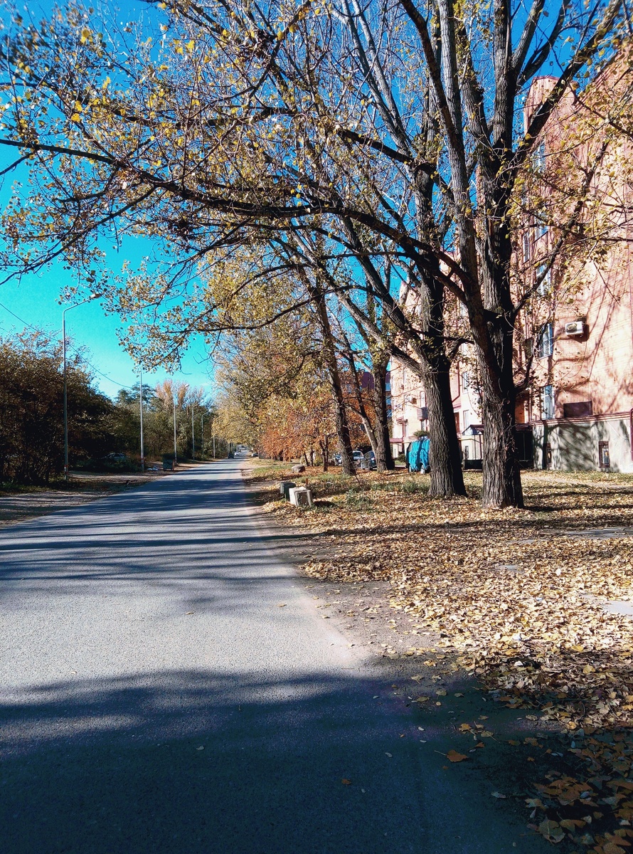 Так было вчера, 4 ноября...