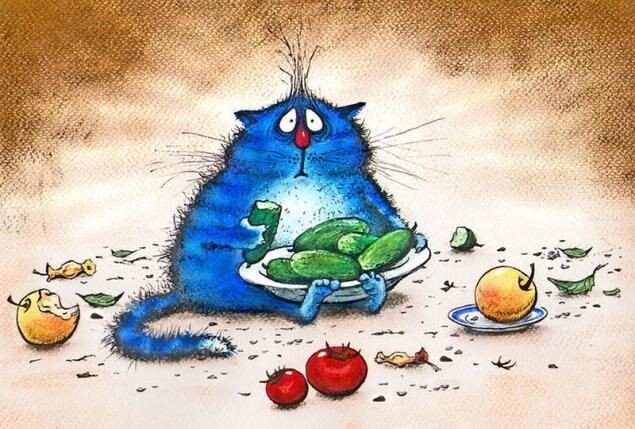 очаровательный котик Рины Зенюк